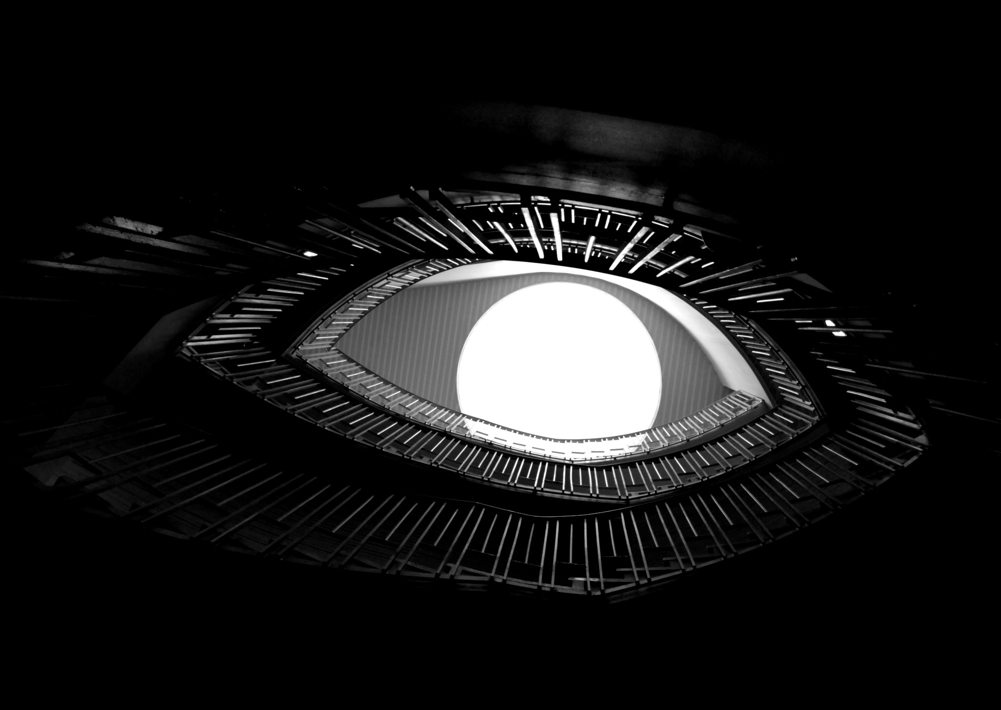 Eye